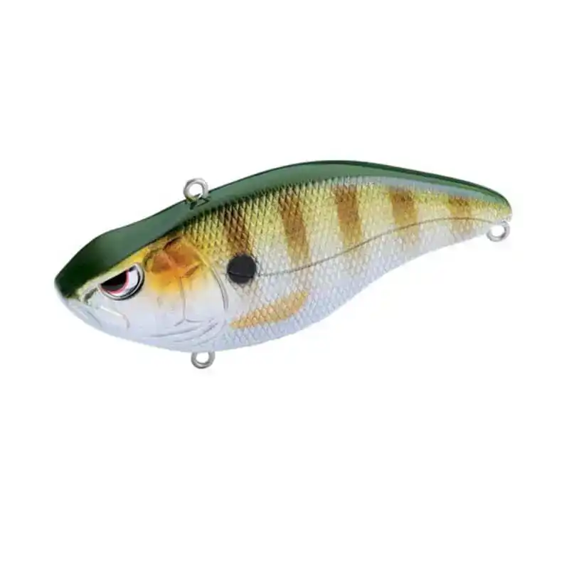 Aruku Shad Koop Vandaag