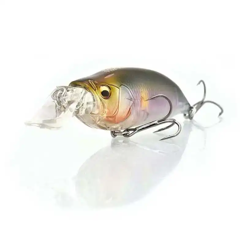 IXI Shad Type-R LBO Op = Op