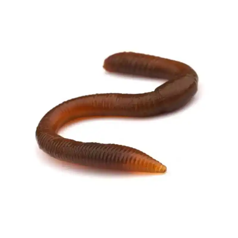 Goedkoop Freestyle Twitch Worm