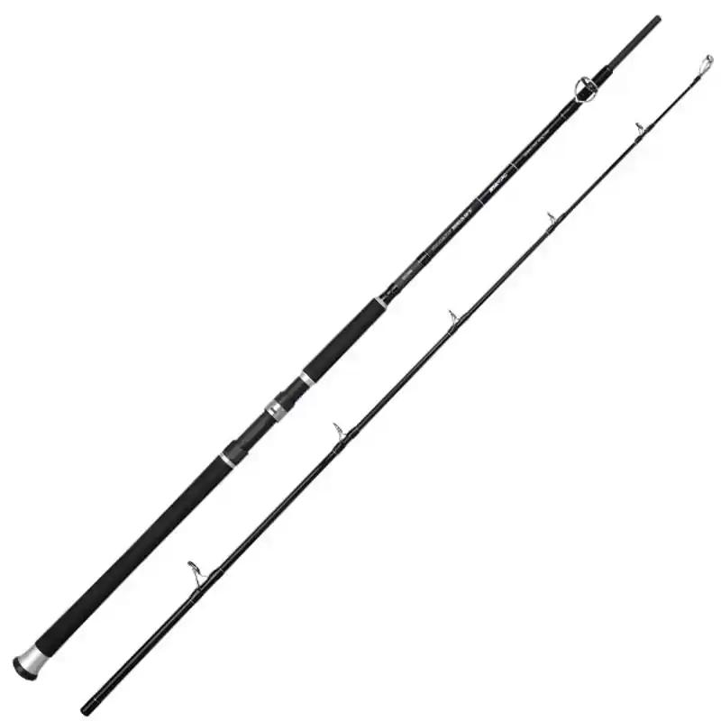 Salty Beast Jig Bait Fast Rod - 2,10 m - tot 600 gram Lage Kosten