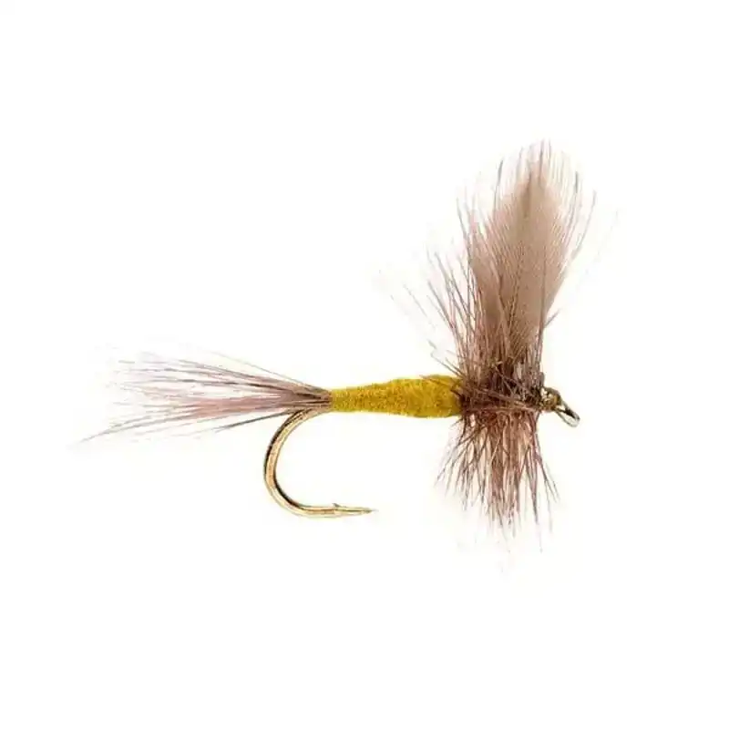 Blue Winged Olive Rechtstreeks Van De Fabrikant
