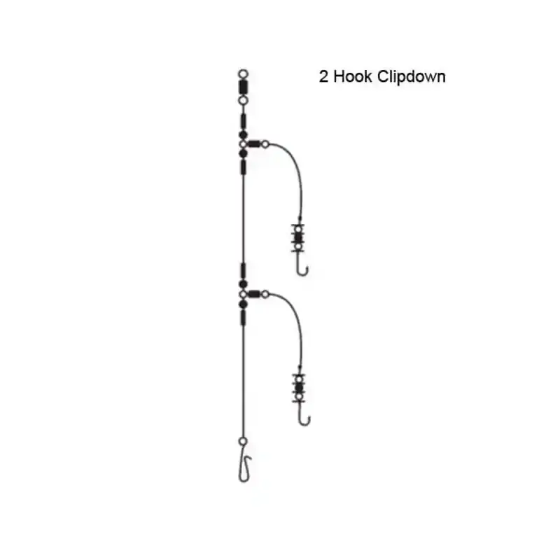 2 Hook Clipdown Rig Gratis Retour