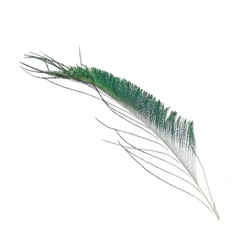 Peacock Swords Laatste Versie