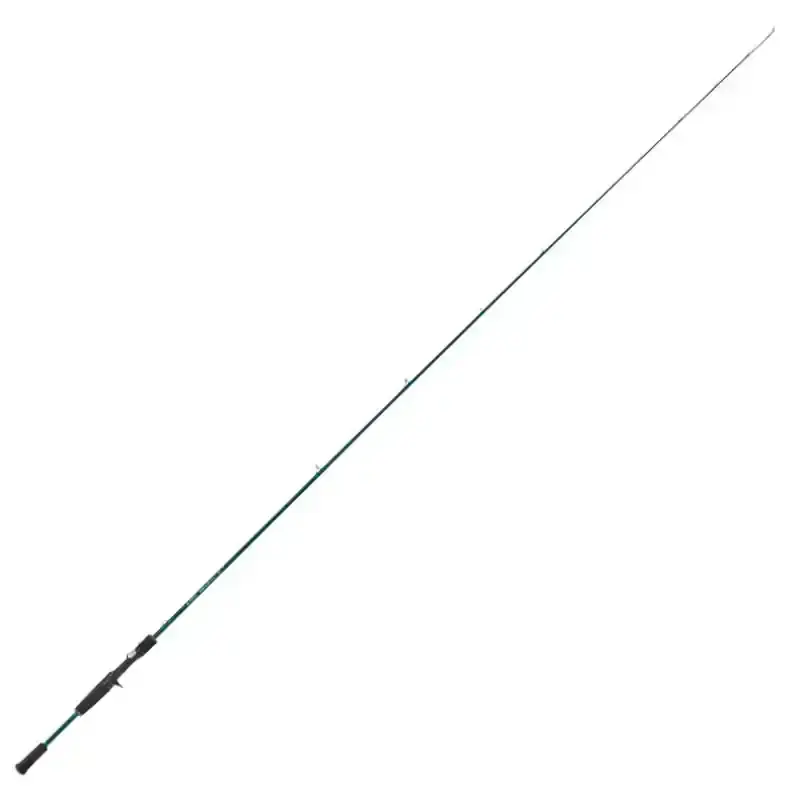 Rayfin Casting - RAYC215MHXF Direct Beschikbaar