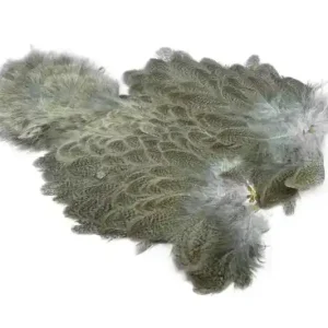 Laatste Versie Brahma Hen SH/C