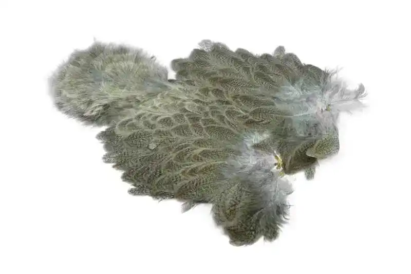 Laatste Versie Brahma Hen SH/C