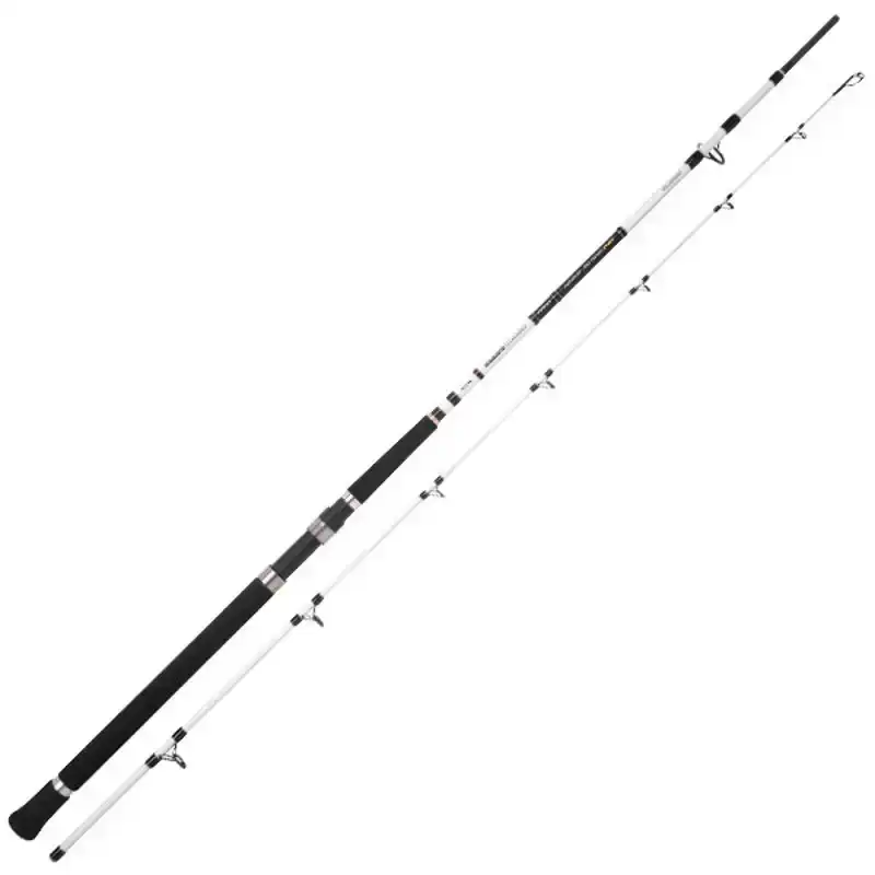 Rechtstreeks Van De Fabrikant Salty Beast Nano Heavy Jig Spin - 2,70 m - tot 250 gram - 2,