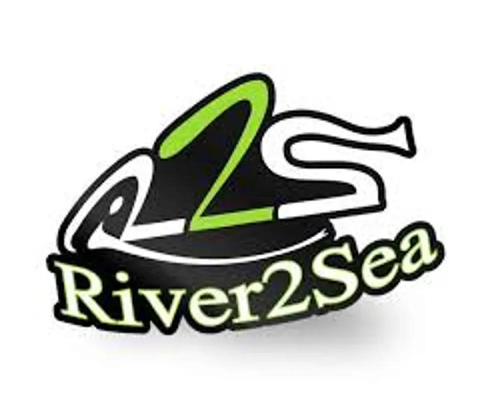 Premium River2sea D-Walker 120 - Softbait - 18 g Silver Side