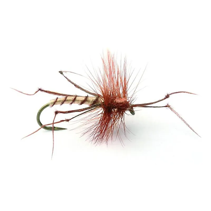 Daddy Long Legs Tørr - 10 Laatste Kans