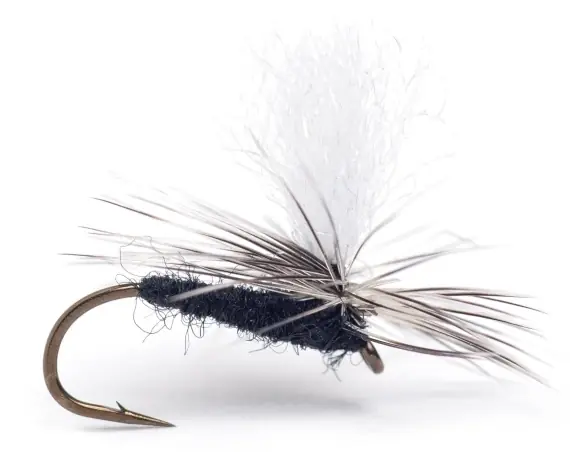 Goedkoop Guideline Rena Midge - # 18