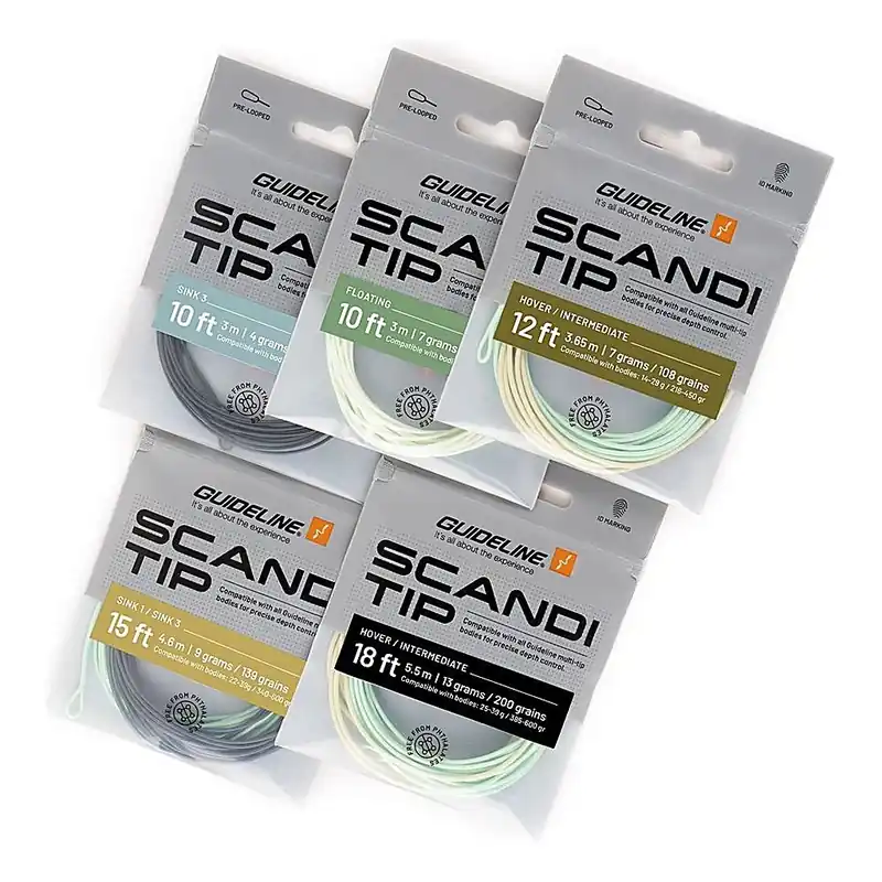 Express Levering Guideline Scandi Tips 10' 4g - Float