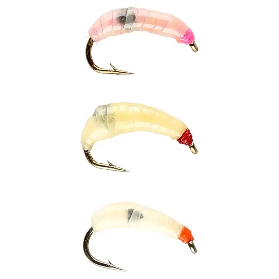 IFISH Maggots Lage Kosten