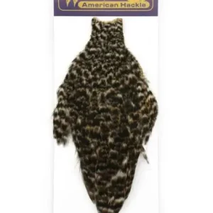 Alleen Vandaag Whiting American Hen Cape Dark Dun