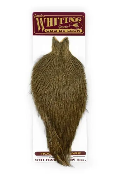 Whiting Coq de Leon Cape Light Pardo Tijdelijk Beschikbaar