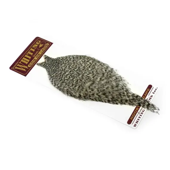 Betaalbaar Whiting Coq de Leon Cape - Black
