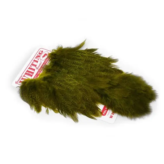 Whiting Coq De Leon Hen SH/C Black Koop Vandaag