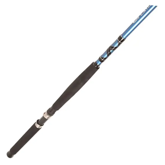 Beste Prijs BFT Big Catch Predator Heavy Trolling 8,6 fot