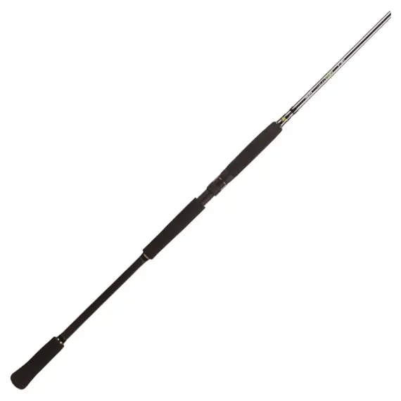 BFT Raptor G2 Pike Spin 8' -100g, 2pcs Spinning Bestseller