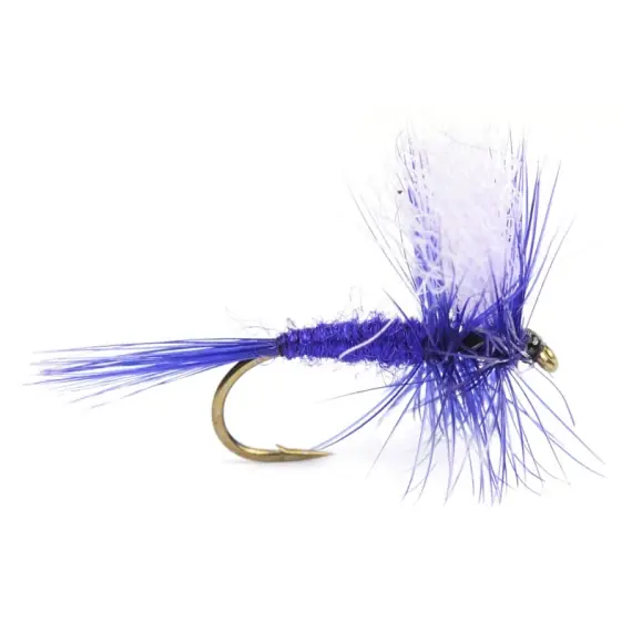 Superprijs Deep Purple Dry # 12
