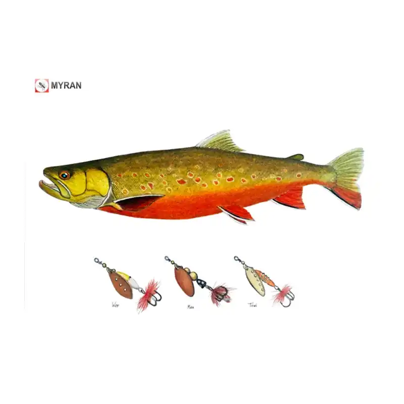 Myran Framed Arctic Char Poster Merkproduct