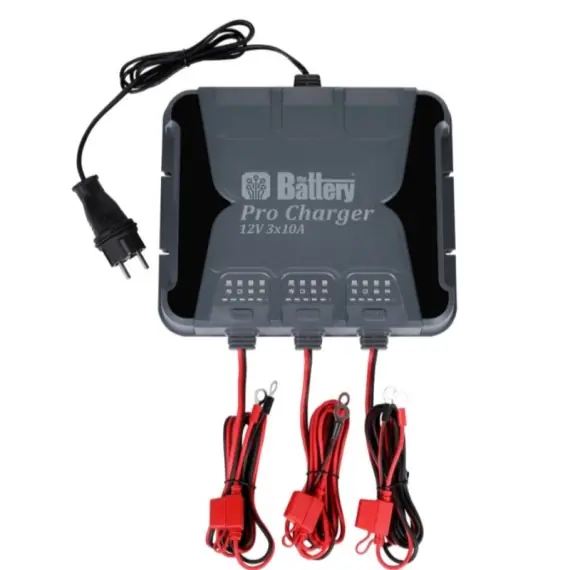 Beste Prijs The Battery Pro Charger 12v/24v 3x10