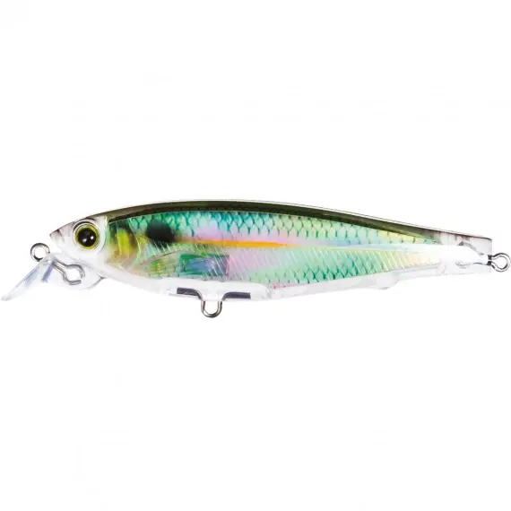 YO-Zuri 3DR Minnow SP100, RPC Bestel Nu