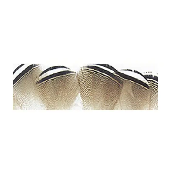Express Levering Wood Duck, Black and White