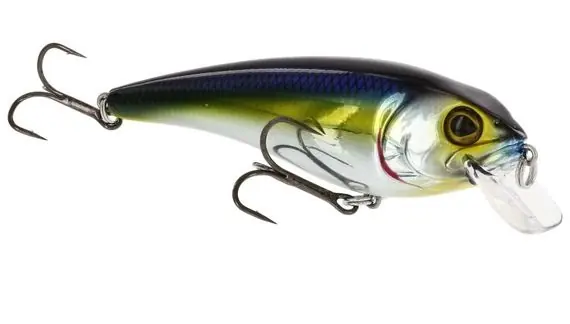 Westin Rawbite Crankbait 11cm, 26g Floating - 3D Motoroil Blood Gratis Retour