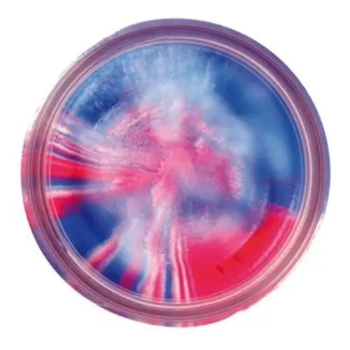 Berkley PowerBait Red/White/Blue 50gr. Snelle Levering