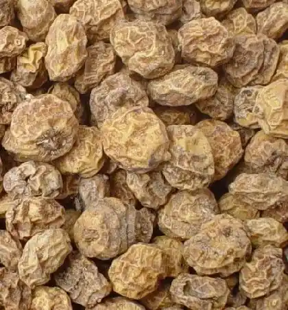 Favoriet Tijgernoten Groot 2.5 KG