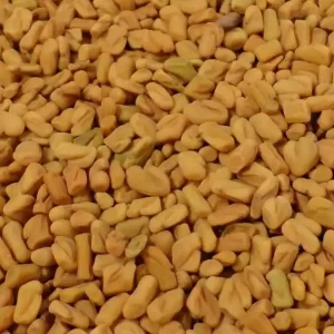 Fenegriek Zaad 2,5 Kg Koop Vandaag