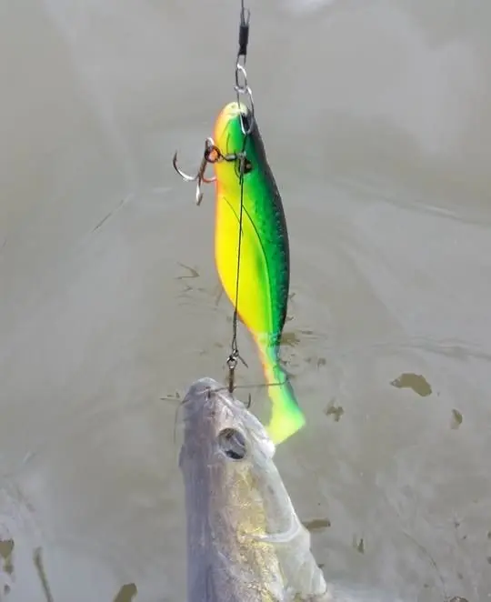 Rozemeijer Shallow Screw Stinger 18cm/size 2 2 Uitverkoop
