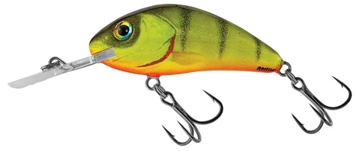 Lage Kosten Salmo Rattlin Hornet 5.5cm Hot Perch