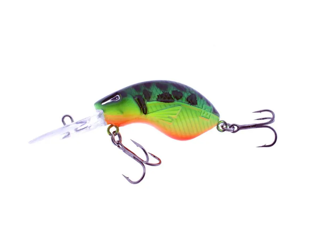 Actieprijs Rozemeijer Bumblebee Speckled Firetiger