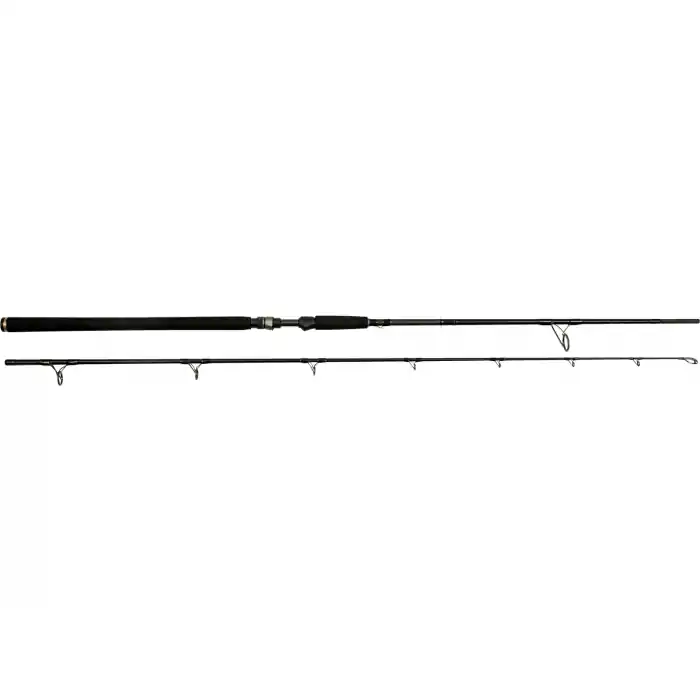 Laatste Versie Westin W3 Powercast-T 2nd 248 cm 40 - 130 gram - XXH