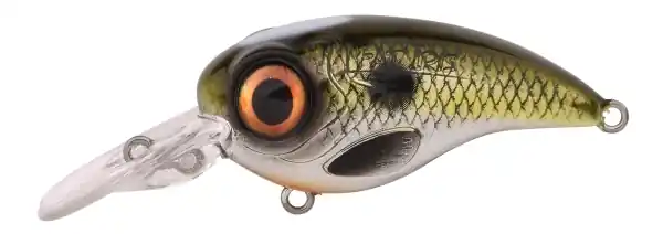 Voordeelprijs SPRO Fat Iris 80CR