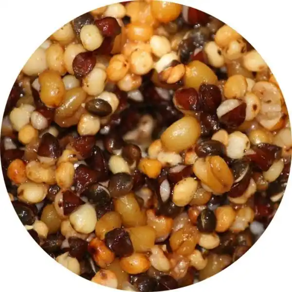 Eurotackle Particle Mix 5kg Ready To Fish Meest Verkocht