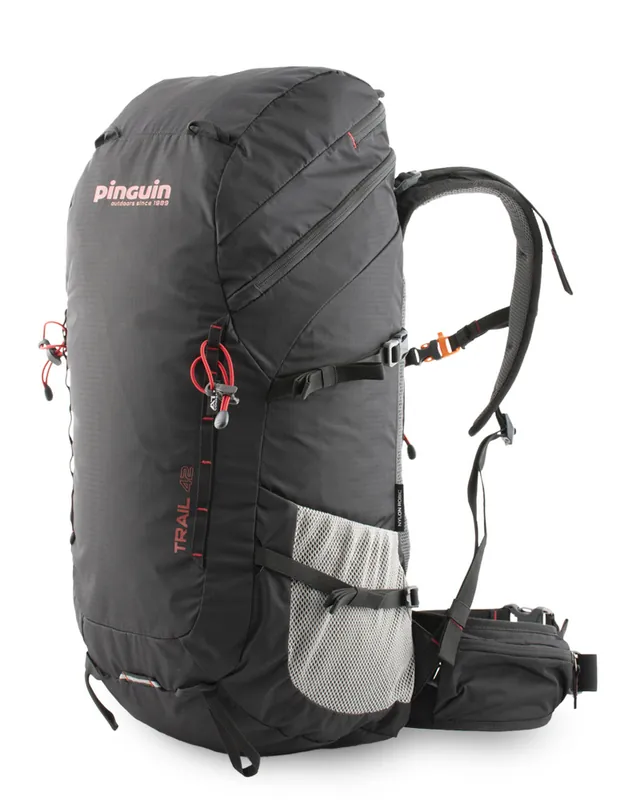 Tas Pinguin Pad 42L 2020 zwart Koop Vandaag