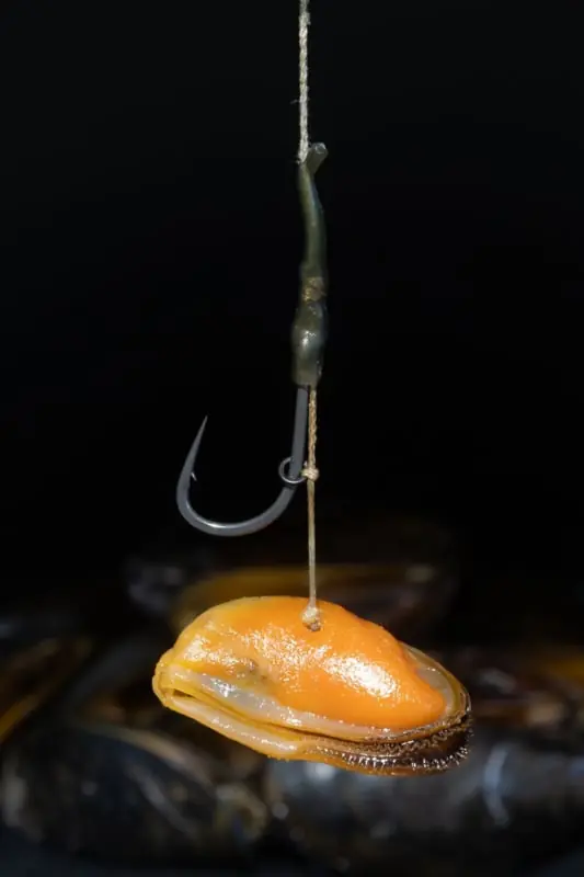 Op = Op Subgrubs Mossel Natural Hookbait (200g)