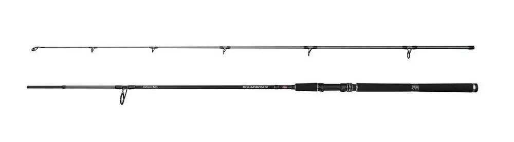 Beste Prijs Penn Squadron IV SW Spin Zeevishengel 3.00m 20-60g