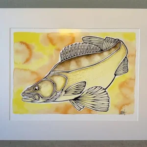 EBH Arts Vis Poster Zander (Ingelijst) Snelle Levering