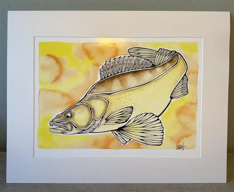 EBH Arts Vis Poster Zander (Ingelijst) Snelle Levering