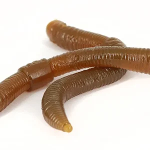 Trout Master Dendrobaena Imitatie Worm 8cm (15 Stuks) Orange Weekendaanbieding