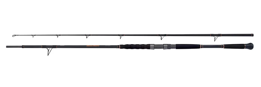 Shimano Beastmaster Catfish Meervalhengel Multi 2.3m (200g) Goedkoop