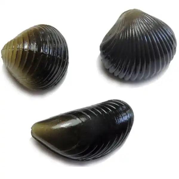 Behr Karper Imitatie Mossels Dagaanbieding