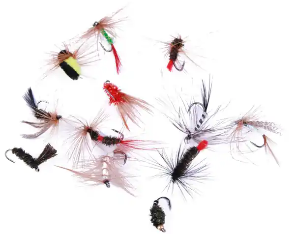 Speciale Aanbieding Ultimate Fly Selection 12pcs