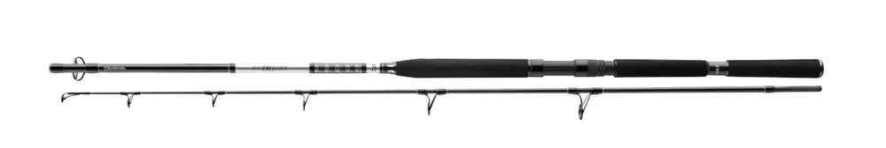 Direct Verzonden Daiwa BG Popper Zeevis Hengel 2,30m (40-150g)