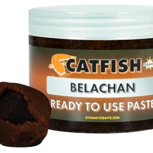 Betrouwbaar Dynamite Baits Catfish Belachan Paste Meerval Aas (350g)