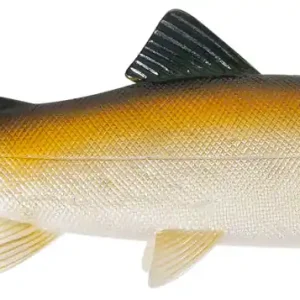 Uni Cat Trout Softbait 20cm BG Koop Vandaag