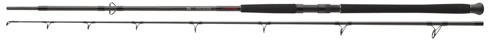 Daiwa Exceler CF Boje Meervalhengel (200-600g) 2.70m (200-600g) Veilige Betaling